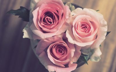 Hochzeitstagsgeschenk